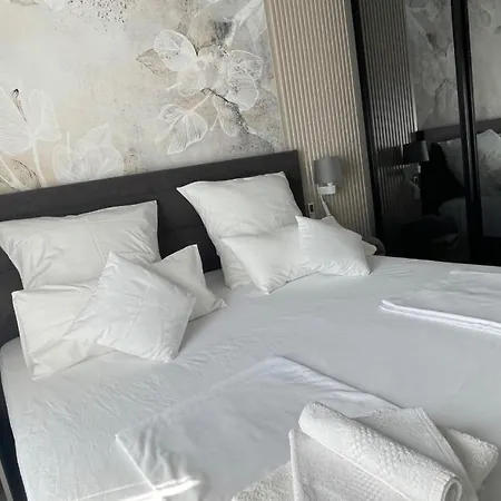 Villa Modern 8 With Rooftop Pool In Vodice Srima